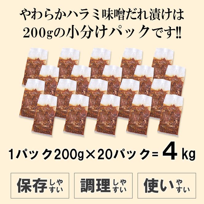 やわらかハラミ味噌だれ漬け4kg（200ｇ×20） 372013_KA013