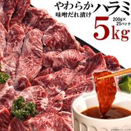 やわらかハラミ味噌だれ漬け5kg（200ｇ×25） 372013_KA014