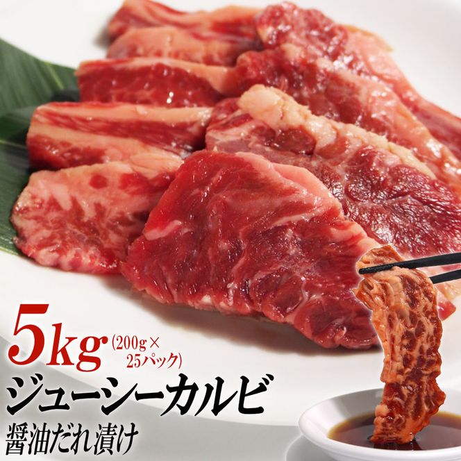 y쌧szW[V[JrݖЂ5kgi200g×25j 372013_KA020