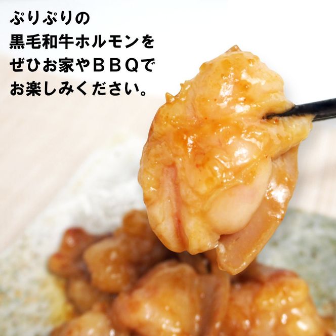 黒毛和牛ホルモン味噌だれ漬け1kg（200g×5） 372013_KA021