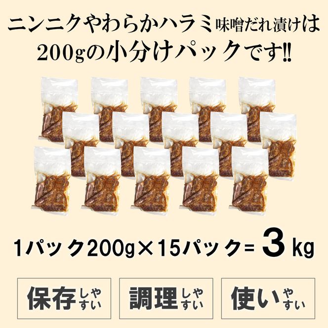ガツンとにんにくやわらかハラミ味噌だれ漬け3kg（200g×15） 372013_KA030