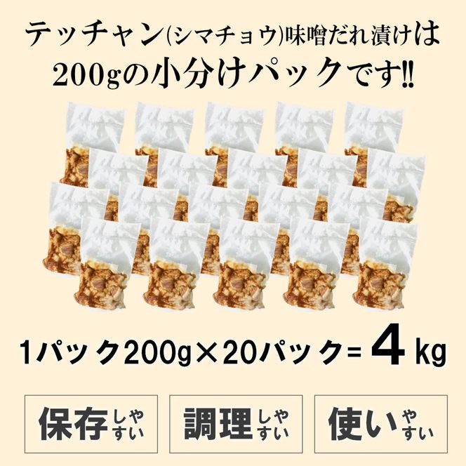 テッチャン味噌だれ漬け4kg（200g×20） 372013_KA043