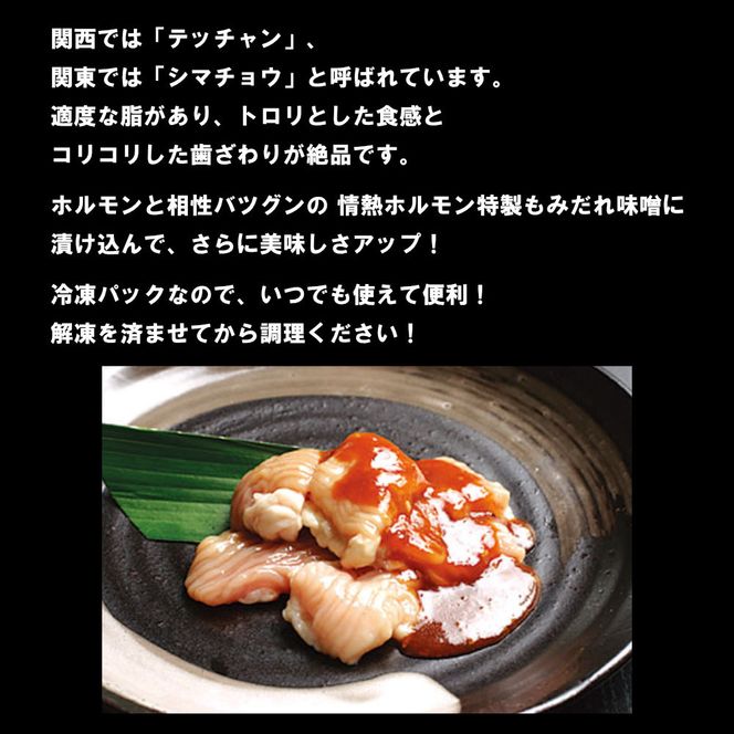 テッチャン味噌だれ漬け4kg（200g×20） 372013_KA043