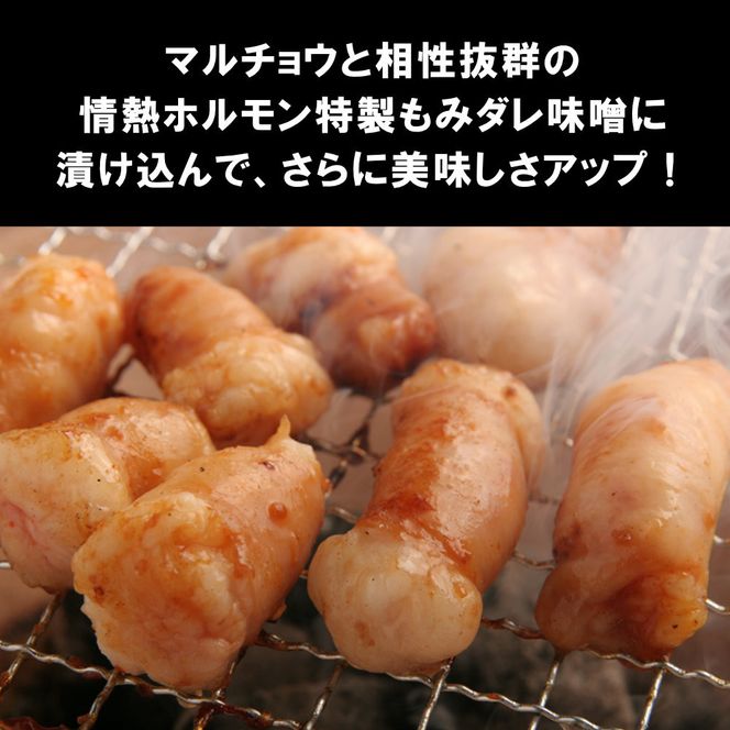 マルチョウ味噌だれ漬け3kg（200g×15） 372013_KA048