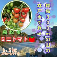 ミニトマト1.2kg (200g×6パック詰め） 372013_KD001