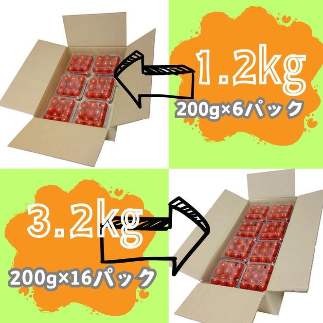 ミニトマト1.2kg (200g×6パック詰め） 372013_KD001