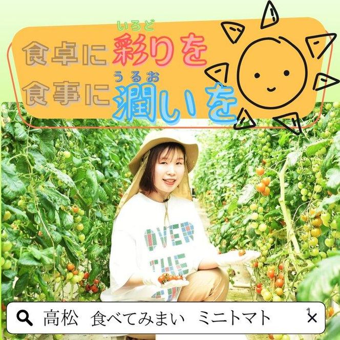 ミニトマト1.2kg (200g×6パック詰め） 372013_KD001