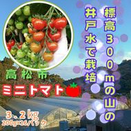 ミニトマト3.2kg (200g×16パック詰め） 372013_KD002