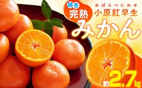 越冬完熟小原紅早生みかん　約2.7kg【2026年1月上旬～2026年2月上旬配送】 372013_T006-004J
