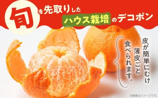 高松産季節の果物＜ハウスデコポン＞約2.8kg【2025年12月中旬～2026年3月中旬配送】 372013_T006-030J