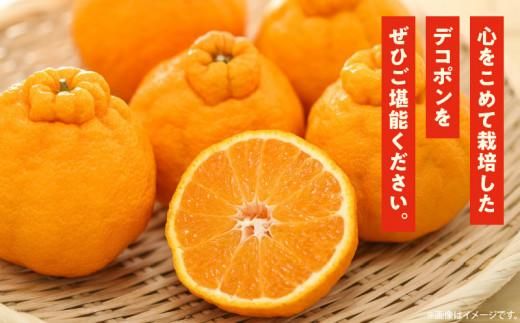 高松産季節の果物＜ハウスデコポン＞約2.8kg【2025年12月中旬～2026年3月中旬配送】 372013_T006-030J