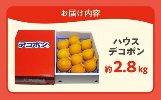高松産季節の果物＜ハウスデコポン＞約2.8kg【2025年12月中旬～2026年3月中旬配送】 372013_T006-030J