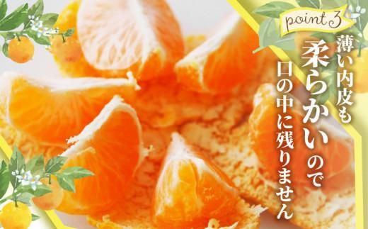 35.せとか6キロ2箱（12キロ）北陸東海より西側料金 imgrc0063265923.jpg