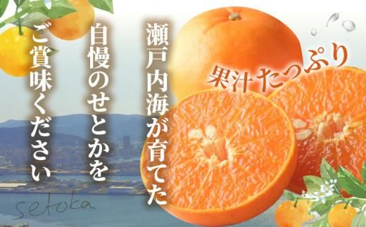 80.せとか6キロ2箱（12キロ） 北陸、東海より西側料金 予約】 産地厳選 国産 みかん せとか 3kg (秀品/7〜15玉/常温便