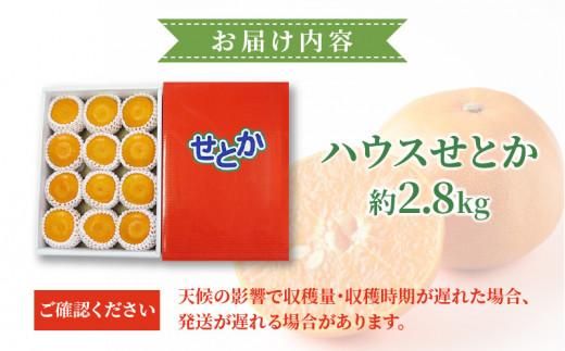 ハウスせとか 約2.8kg【2026年1月下旬～2026年2月下旬配送