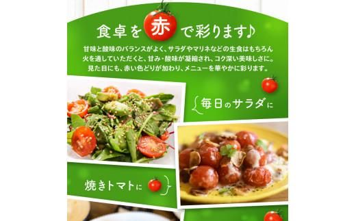 ミニトマト約2.7kg【2025-11月上旬～2026-6月中旬配送】 372013_T006-032J