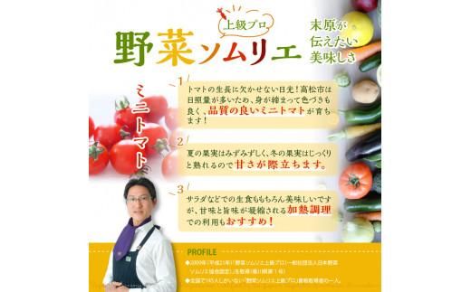 ミニトマト約2.7kg【2025-11月上旬～2026-6月中旬配送】 372013_T006-032J