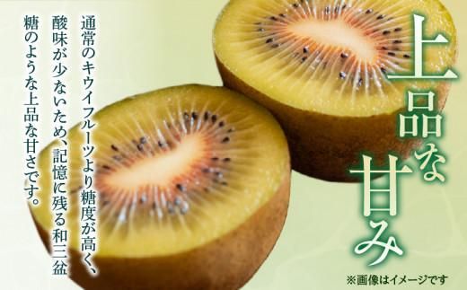 さぬきエンジェルスイート 約2.2kg【2026年11月中旬～2027年1月中旬配送】 372013_T006-034J