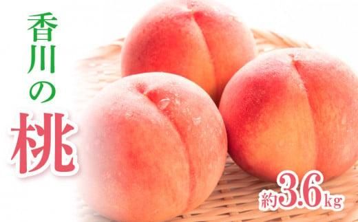 香川の桃 約3.6kg【2026年6月中旬～2026年8月上旬配送】 372013_T006-039J