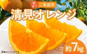 訳あり ご家庭用 清見オレンジ 約7kg【2026-3月中旬～2026-4月上旬配送】 372013_T006-049J