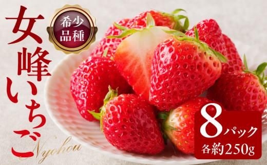 高松産季節の果物＜希少品種　女峰いちご＞約250g×8パック入り【2026年1月中旬～2026年6月中旬配送】 372013_T006-053J