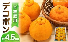 高松産季節の果物＜ご家庭用　デコポン＞約4.5kg【2026年2月下旬～2026年4月上旬配送】 372013_T006-054J