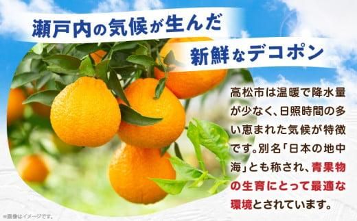 高松産季節の果物＜ご家庭用　デコポン＞約4.5kg【2026年2月下旬～2026年4月上旬配送】 372013_T006-054J