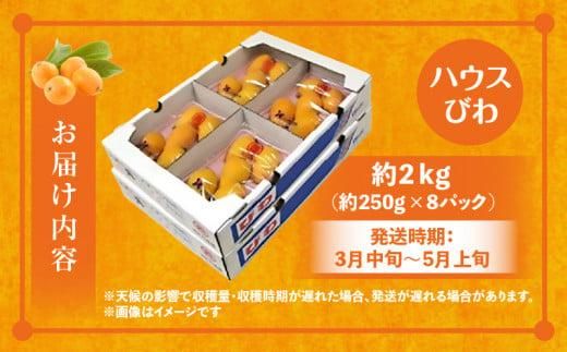 ハウスびわ 約2kg【2026年4月中旬～2026年5月上旬配送】 372013_T006-060J