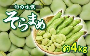 旬の味覚 そらまめ 約4kg【2026年4月下旬～2026年5月下旬配送】 372013_T006-066J