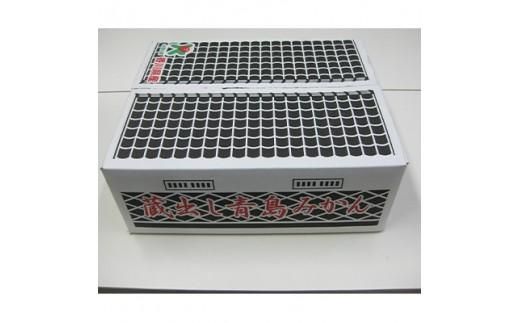 高松産季節の果物＜蔵出しみかん＞約4.6kg×2箱【2026年1月下旬～2026年3月下旬配送】 372013_T006-088J