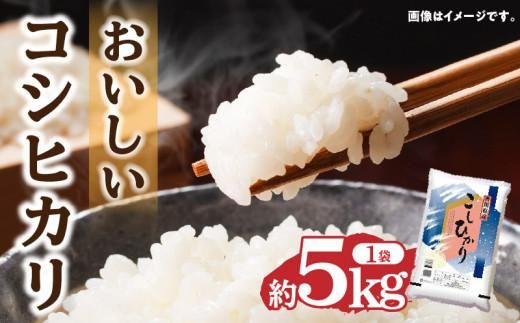 おいしいコシヒカリ約5kg 372013_T006-105J