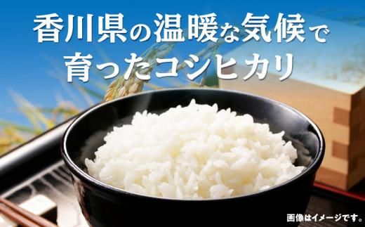 おいしいコシヒカリ約5kg 372013_T006-105J