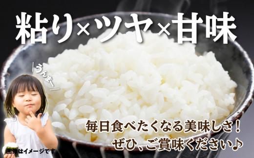 おいしいコシヒカリ約5kg 372013_T006-105J