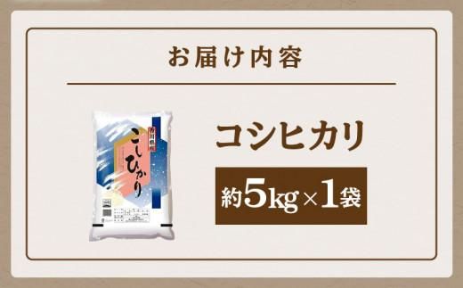 おいしいコシヒカリ約5kg 372013_T006-105J
