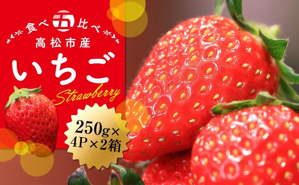 高松市産いちご食べ比べセット 約250g×4パック入り×2箱[2026-1月中旬〜2026-5月中旬] 372013