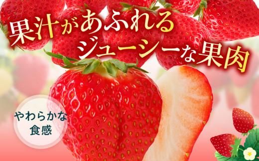 訳あり ご家庭用 さぬきひめいちご(約250g×8パック)【2026年2月上旬～2026年5月中旬配送】 372013_T006-111J