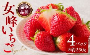 希少品種　女峰いちご4パック(各約250g)【2026年1月中旬～2026年6月上旬配送】 372013_T006-113J