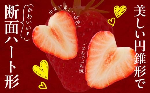 希少品種　女峰いちご4パック(各約250g)【2026年1月中旬～2026年6月上旬配送】 372013_T006-113J