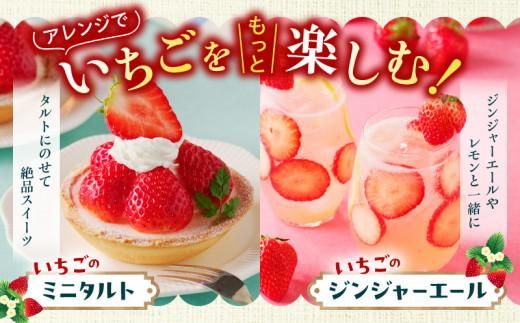 ケーキ用 さぬきひめいちご 4トレー(各約280g)【2026年1月上旬～2026年4月下旬配送】 372013_T006-116J