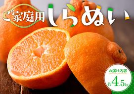 ご家庭用　しらぬい　約4.5kg【2026年2月下旬～2026年4月上旬配送】 372013_T006-118J