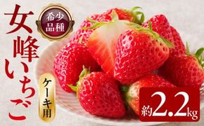 希少ないちご ケーキ用 女峰いちご 約2.2kg【2027年1月上旬～2027年5月下旬配送】 372013_T006-122J