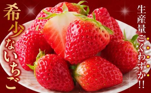 希少ないちご ケーキ用 女峰いちご 約2.2kg【2026年1月上旬～2026年5月下旬配送】 372013_T006-122J