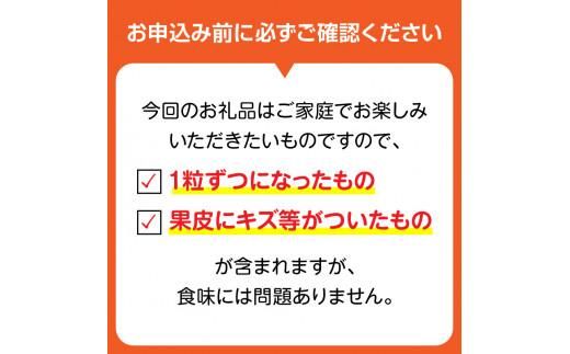 ご家庭用シャインマスカット 約 2kg ぶどう 【2026-8月下旬～2026-9月下旬配送】 372013_T006-131J