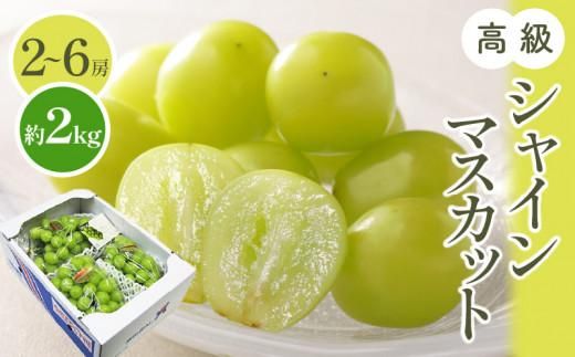 高級 シャインマスカット 約2kg 【2026-8月中旬～2026-9月下旬配送】 372013_T006-132J