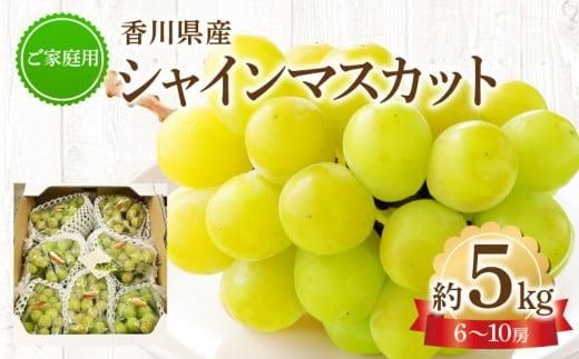 ご家庭用 シャインマスカット 約5kg 【2026-8月下旬～2026-9月下旬配送】 372013_T006-133J