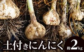 土付きにんにく 約2kg【2026年5月上旬～2026年6月中旬配送】 372013_T006-137J