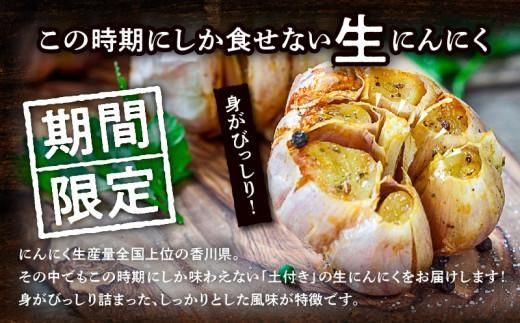 土付きにんにく 約2kg【2026年5月上旬～2026年6月中旬配送】 372013_T006-137J