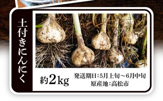 土付きにんにく 約2kg【2026年5月上旬～2026年6月中旬配送】 372013_T006-137J