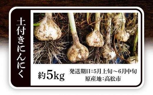 土付きにんにく 約5kg【2026-5月上旬～2026-6月中旬配送】 372013_T006-138J