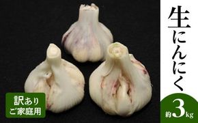 訳あり ご家庭用 生にんにく 約3kg【2026-5月上旬～2026-6月上旬配送】 372013_T006-140J